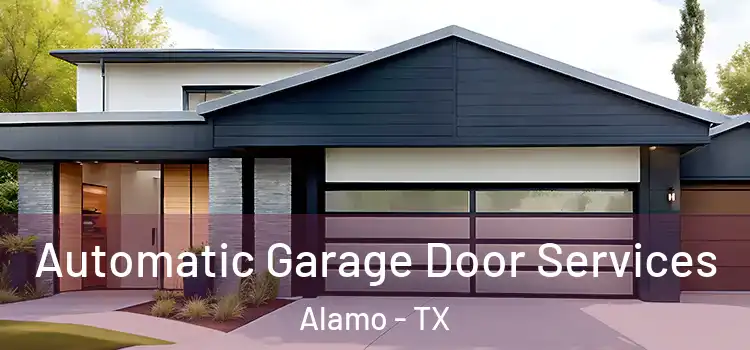  Automatic Garage Door Services Alamo - TX