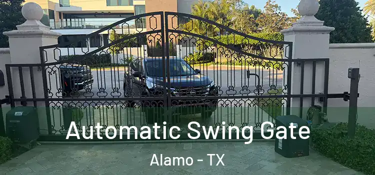 Automatic Swing Gate Alamo - TX