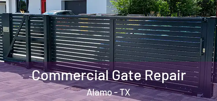 Commercial Gate Repair Alamo - TX