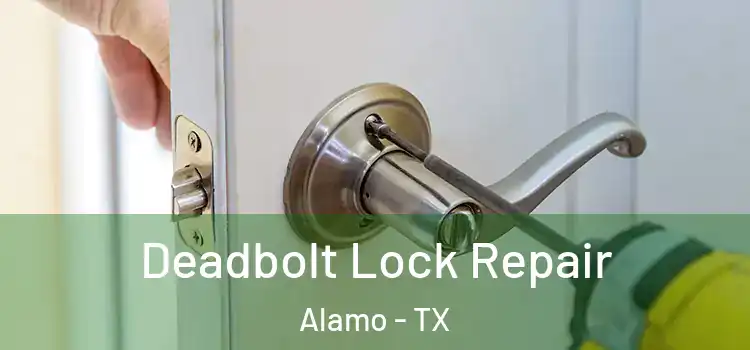 Deadbolt Lock Repair Alamo - TX