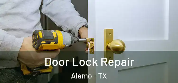 Door Lock Repair Alamo - TX