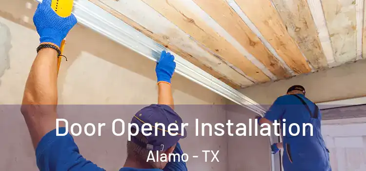 Door Opener Installation Alamo - TX