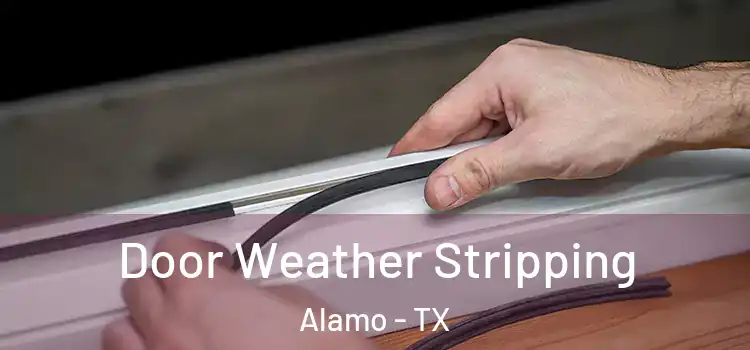 Door Weather Stripping Alamo - TX