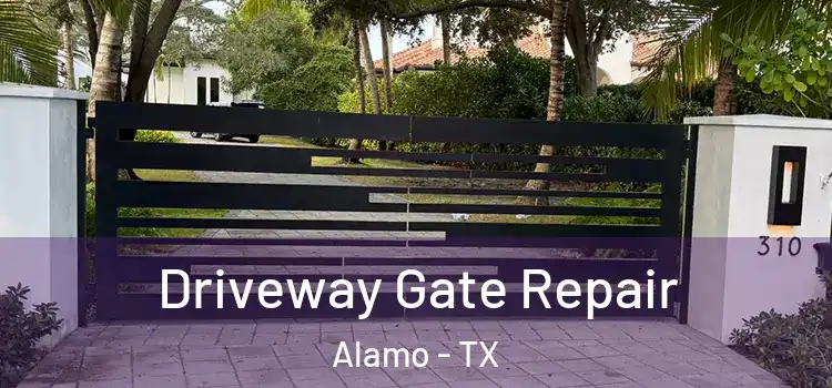 Driveway Gate Repair Alamo - TX