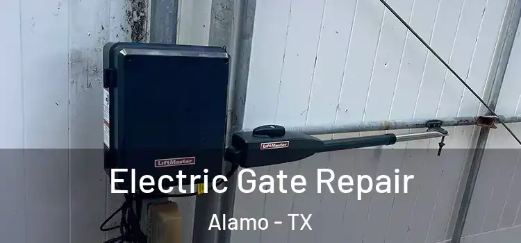 Electric Gate Repair Alamo - TX