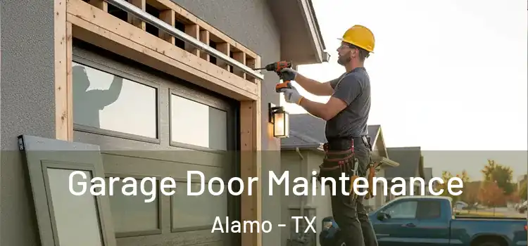 Garage Door Maintenance Alamo - TX