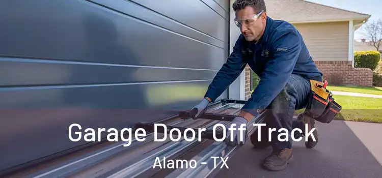  Garage Door Off Track Alamo - TX