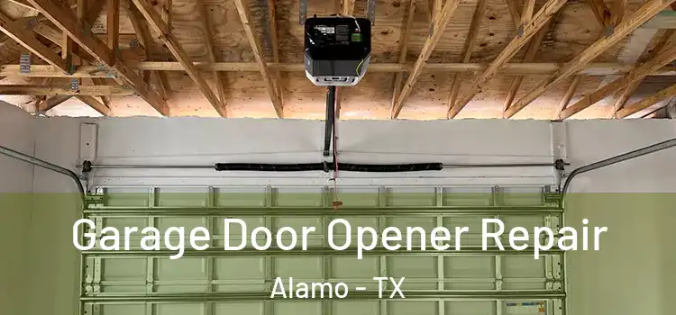  Garage Door Opener Repair Alamo - TX