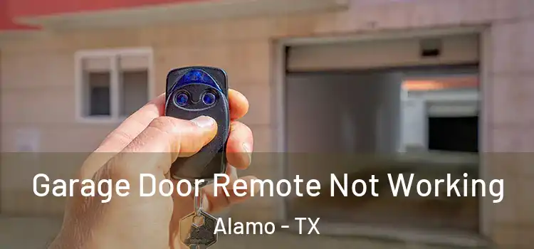  Garage Door Remote Not Working Alamo - TX
