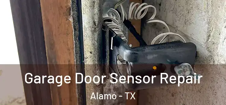 Garage Door Sensor Repair Alamo - TX