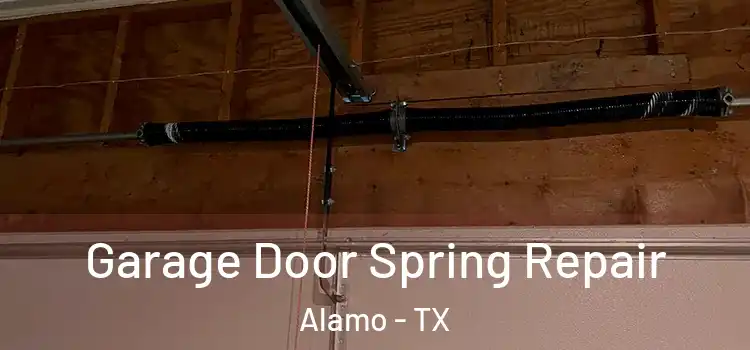  Garage Door Spring Repair Alamo - TX