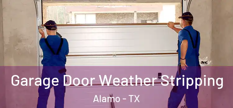  Garage Door Weather Stripping Alamo - TX