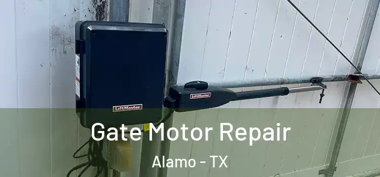 Gate Motor Repair Alamo - TX