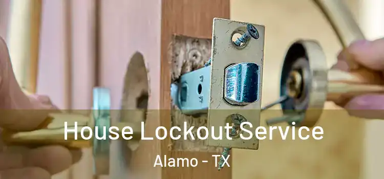 House Lockout Service Alamo - TX