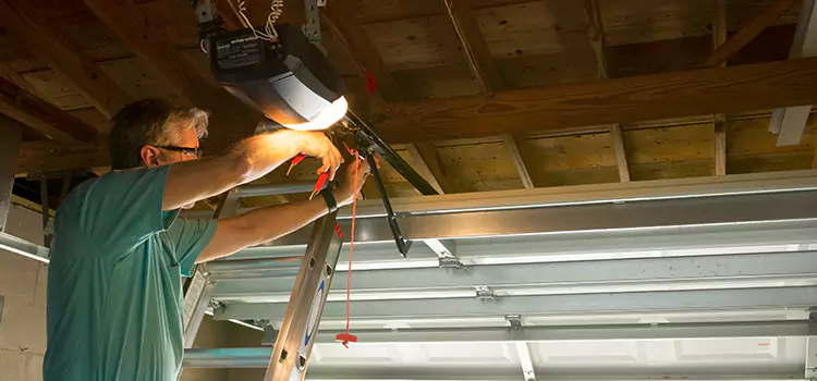 Garage Door Opener Sales and Installation Alamo