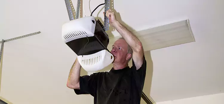 Garage Door Opener Service Alamo