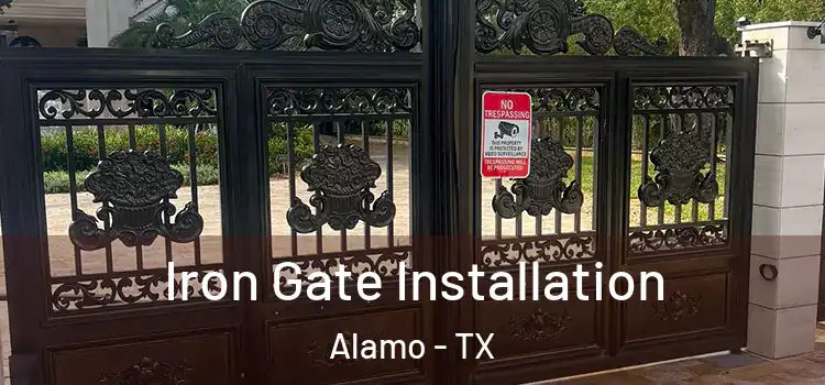 Iron Gate Installation Alamo - TX