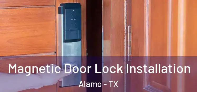  Magnetic Door Lock Installation Alamo - TX