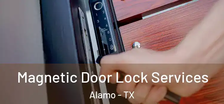 Magnetic Door Lock Services Alamo - TX