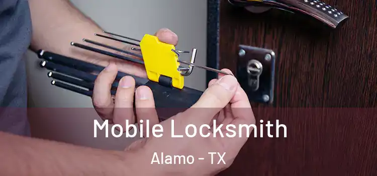  Mobile Locksmith Alamo - TX