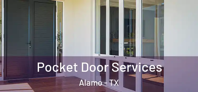 Pocket Door Services Alamo - TX