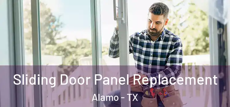  Sliding Door Panel Replacement Alamo - TX