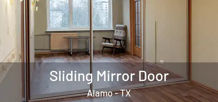  Sliding Mirror Door Alamo - TX